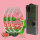 3er-Set Hoffmann Aromakapsel Watermelon Mint inkl. Kapselspender
